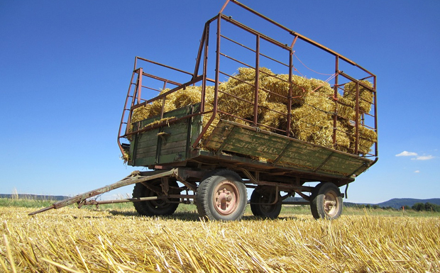 greekfarms.gov.gr – Η νέα ηλεκτρονική υπηρεσία για τον αγρότη