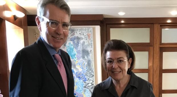 Συνάντηση Λίνας Μενδώνη – Geoffrey Pyatt εν όψη επίσκεψης Μ. Πομπέο στην Ελλάδα