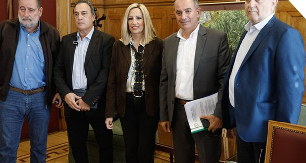 Φ. Γεννηματά: Το προσχέδιο για την ΔΕΗ στερείται σοβαρότητας