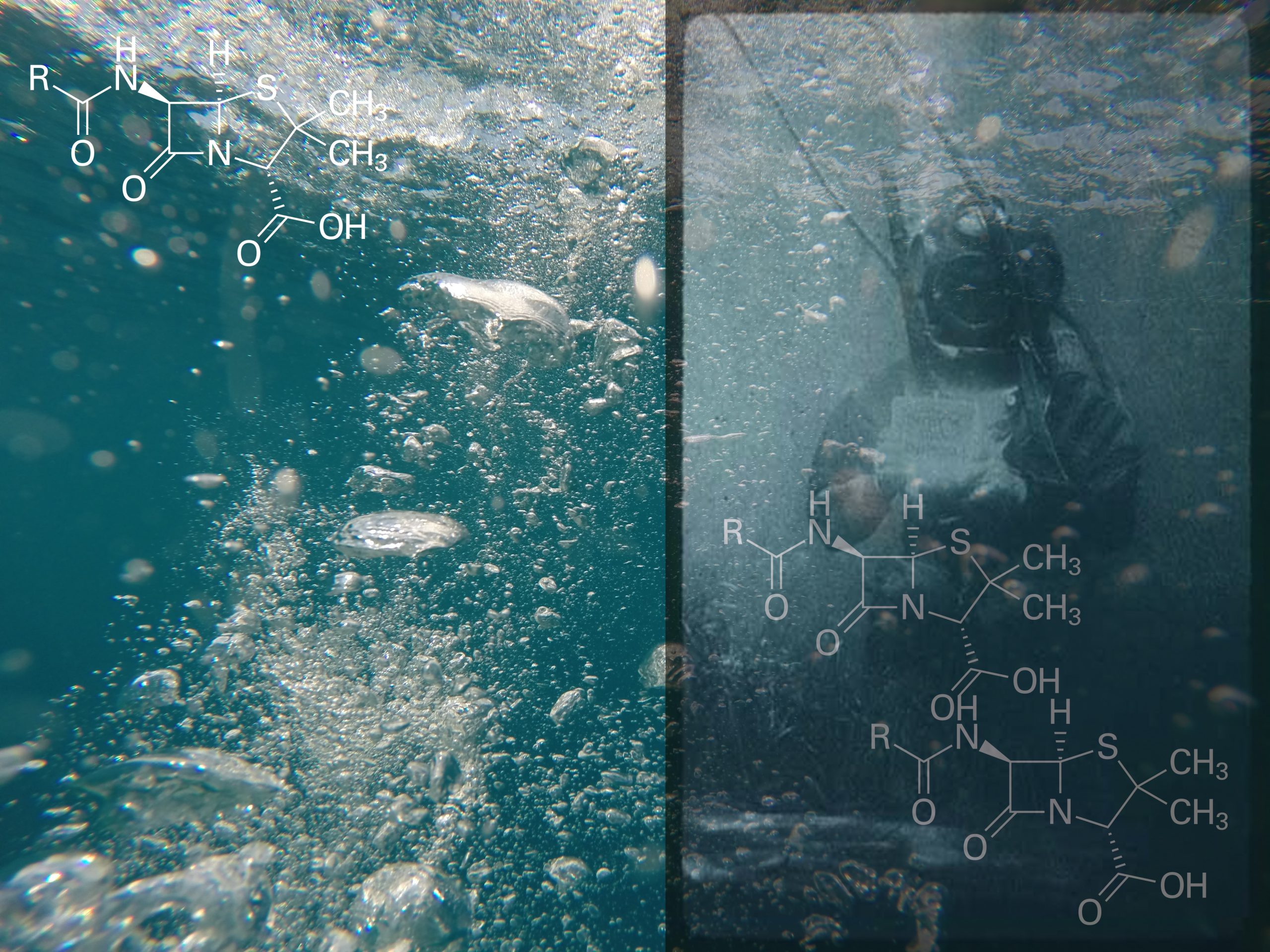 «Creatures in a Series of Tubes»: Νέα εικονική έκθεση έρχεται απ’ τη Στέγη Ιδρύματος Ωνάση