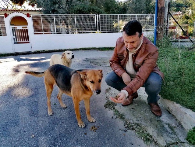 Ο Δήμος Σαλαμίνας ενισχύει με επιπλέον μερίδες τροφής στις ήδη τοποθετημένες ταΐστρες τα αδέσποτα εν μέσω κακοκαιρίας