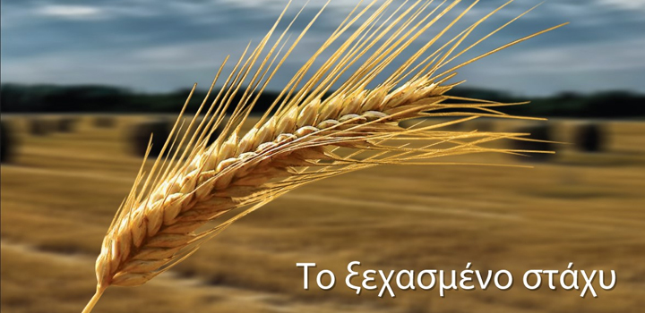 “Το Ξεχασμένο Στάχυ”: Στίχοι της Βέρας Κλαρέβα – Ακούστε το νέο Album (Μ. Πλέσσας – Λ. Κόκοτος – Β. Φάμπας)