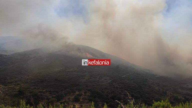 Μέσα στο Καπανδρίτι οι φλόγες της φωτιάς – Ισχυρή δύναμη της Πυροσβεστικής – 7 αεροσκάφη στη μάχη