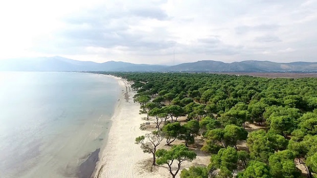 ΕΘΝΙΚΟ ΠΑΡΚΟ ΣΧΙΝΙΑ ΜΑΡΑΘΩΝΑ, ΦΟΡΕΑΣ ΔΙΑΧΕΙΡΙΣΗΣ ΕΘΝΙΚΟΥ ΠΑΡΚΟΥ ΣΧΙΝΙΑ: Λήψη έκτακτων μέτρων πρόληψης λόγω υψηλού κινδύνου πυρκαγιάς