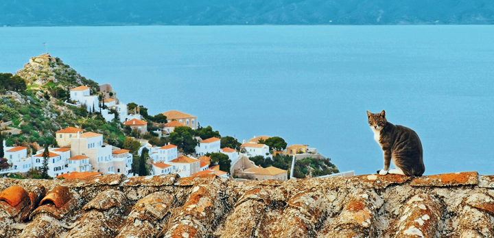 Η “μαγεία” του Αργοσαρωνικού