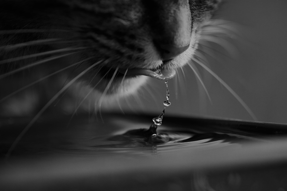 Παγκόσμια Ημέρα Νερού… (World Water Day)