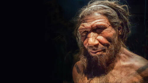 Οι διατροφικές συνήθειες των Homo Sapiens