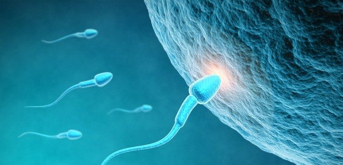 Γιατί οι υψηλές θερμοκρασίες επηρεάζουν την ανδρική γονιμότητα
