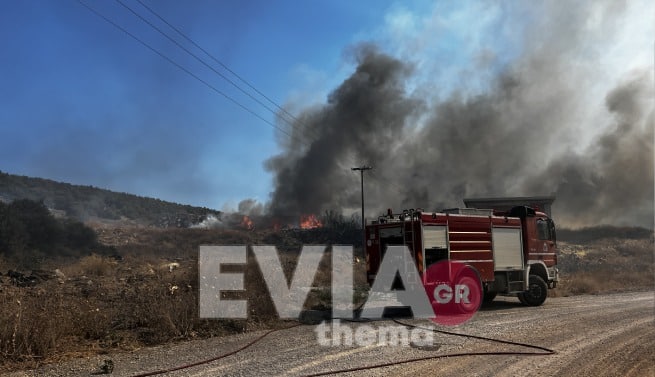 Πυρκαγιά στα Ψαχνά Ευβοίας – Τι λέει η πυροσβεστική σε έκτακτη ενημέρωση