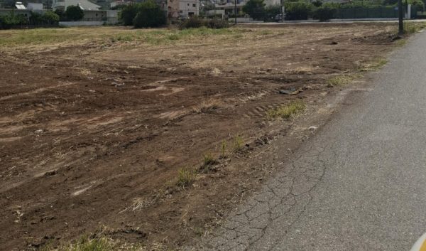 Ο Δήμος Χαλκιδέων συνεχίζει τους καθαρισμούς δημοτικών οικοπέδων, απομακρύνοντας χόρτα και σκουπίδια από την περιοχή.