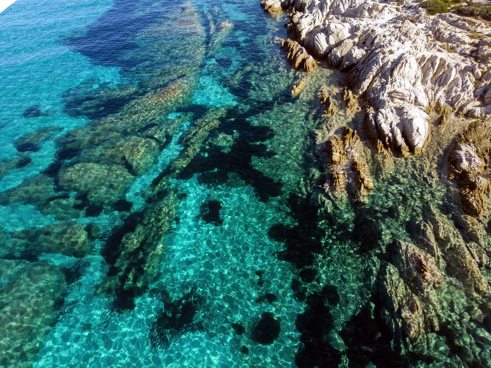 ΥΠΕΝ: Σε δημόσια διαβούλευση τα δύο νέα Εθνικά Θαλάσσια Πάρκα σε Νότιες Κυκλάδες και Ιόνιο