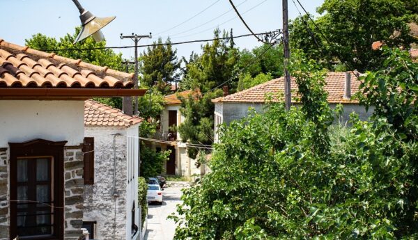 Αντίστοιχες εικόνες από τον Έβρο, με παραδοσιακά σπίτια και πυκνή βλάστηση, που αναδεικνύουν τον ιδιότυπο εποικισμό της περιοχής.