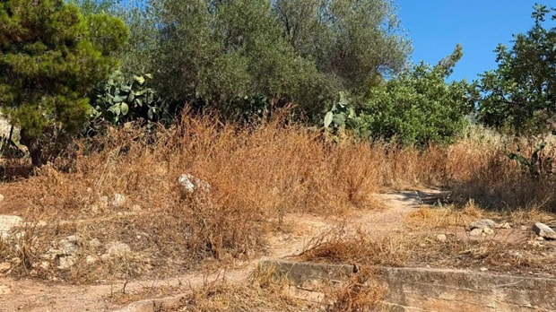 Δήμοι Ηλιούπολης και Ελληνικού-Αργυρούπολης με θέμα: «2.500 στρέμματα στον Υμηττό παραμένουν να καθαριστούν ακόμη και σήμερα»