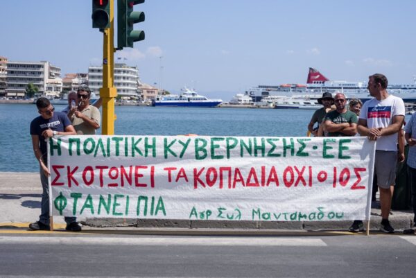 Διαμαρτυρία με πανό που αναγράφει "Η πολιτική κυβέρνησης - ΕΕ σκοτώνει τα κοπάδια, όχι ο ιος φτάνει πια" στην παραλία.
